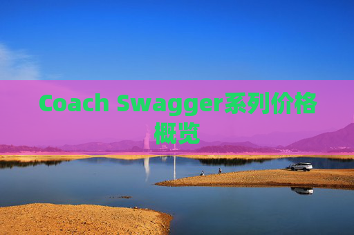 Coach Swagger系列价格概览
