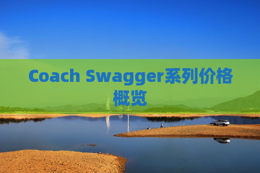 Coach Swagger系列价格概览