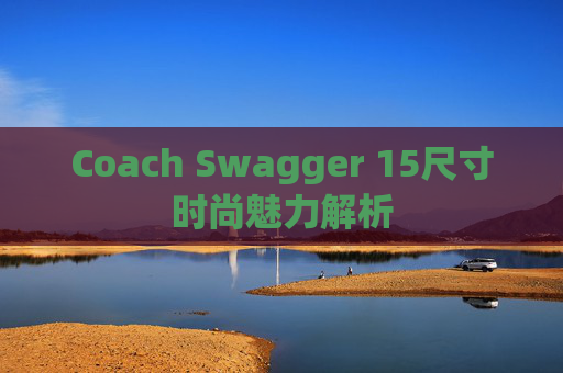 Coach Swagger 15尺寸时尚魅力解析